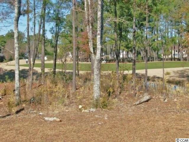 317 Muscari Drive Murrells Inlet, SC 29576 - Photo 10 of 10 Gallery Image 10