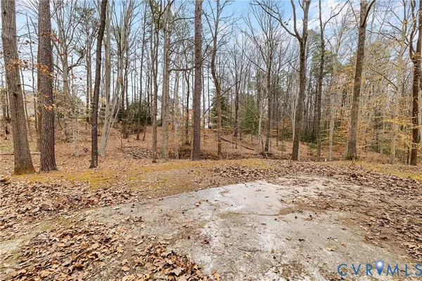 a backyard of a house with trees all around