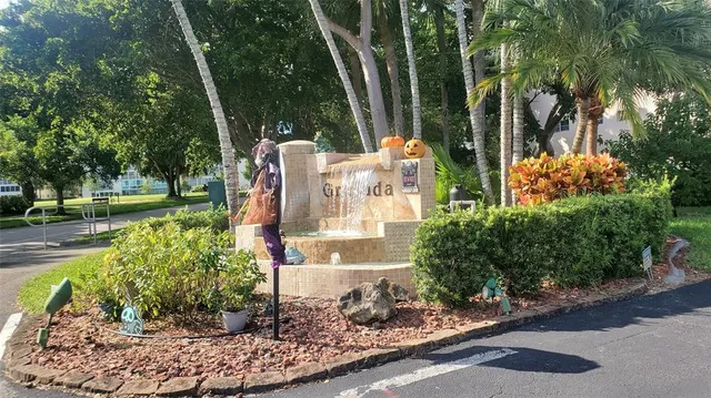 a view of a garden with plants