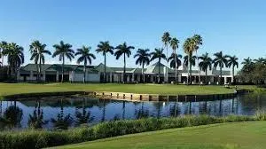 a view of a swimming pool with a garden and palm trees