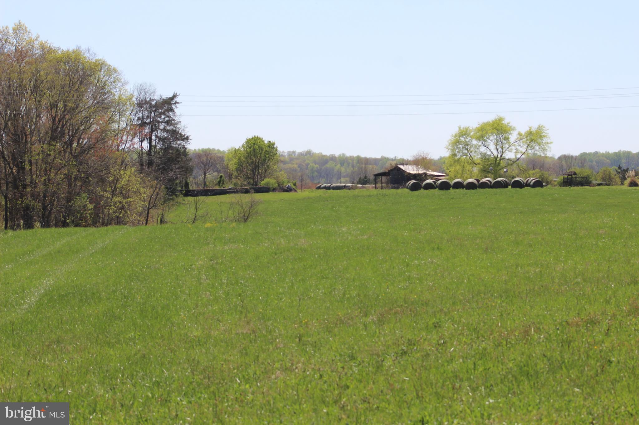 16607 Days Bridge Road Orange, VA 22960 - Photo 9 of 45 view from front of house