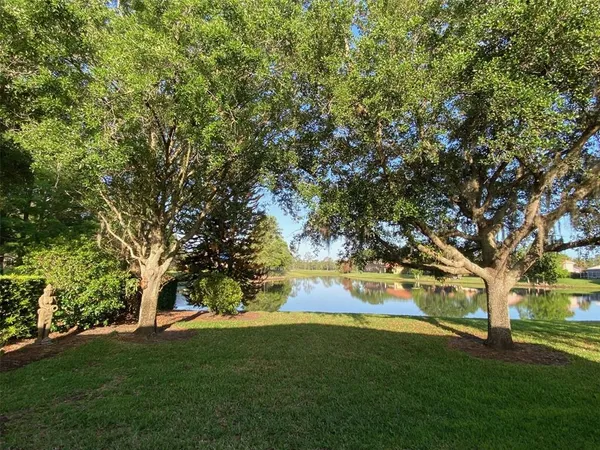 a view of yard with large trees