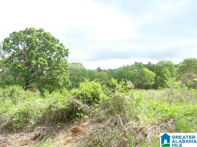 Kitchens Street, Unit 20 Anniston, AL 36201 - Photo 11 of 16