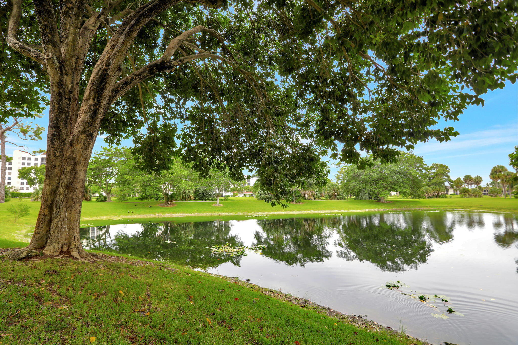 7472 La Paz Boulevard, Unit 302 Boca Raton, FL 33433 - Photo 33 of 36 View from patio