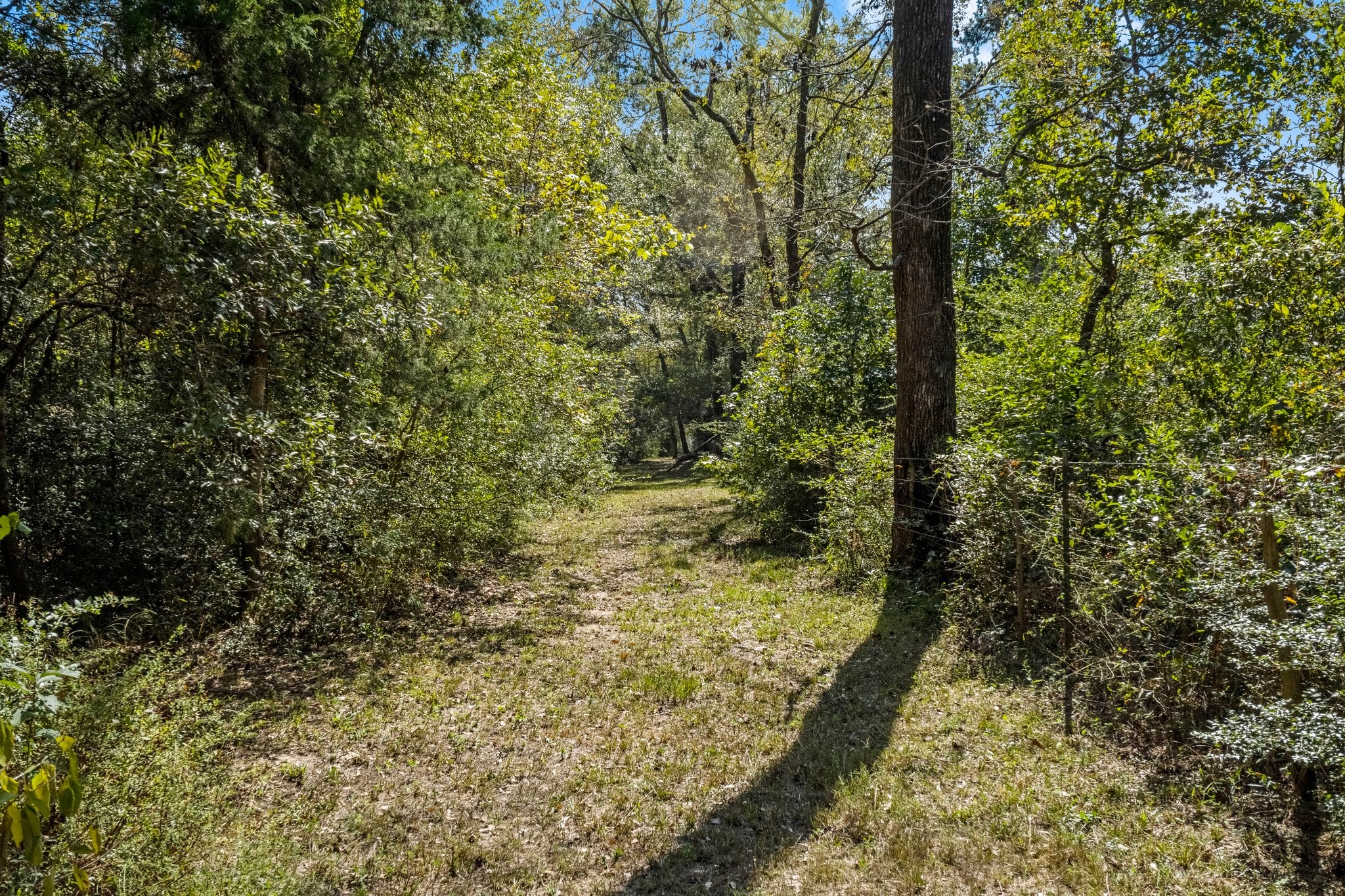 7105 Mt Zion Road New Waverly, TX 77358 - Photo 7 of 42