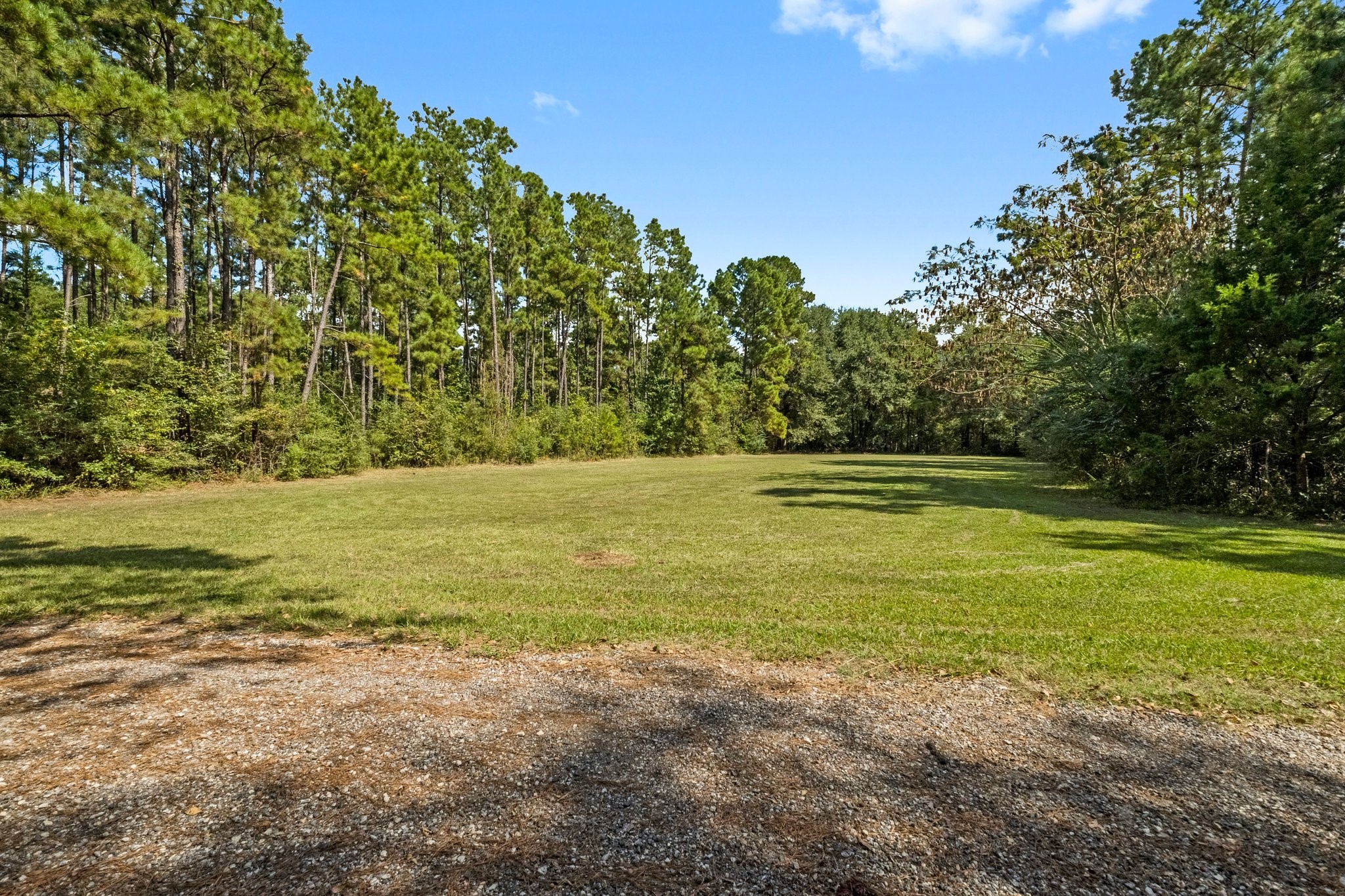 7105 Mt Zion Road New Waverly, TX 77358 - Photo 8 of 42 This sizable open space could be used for a barn/shop, additional home site or just playing a friendly game of baseball!
