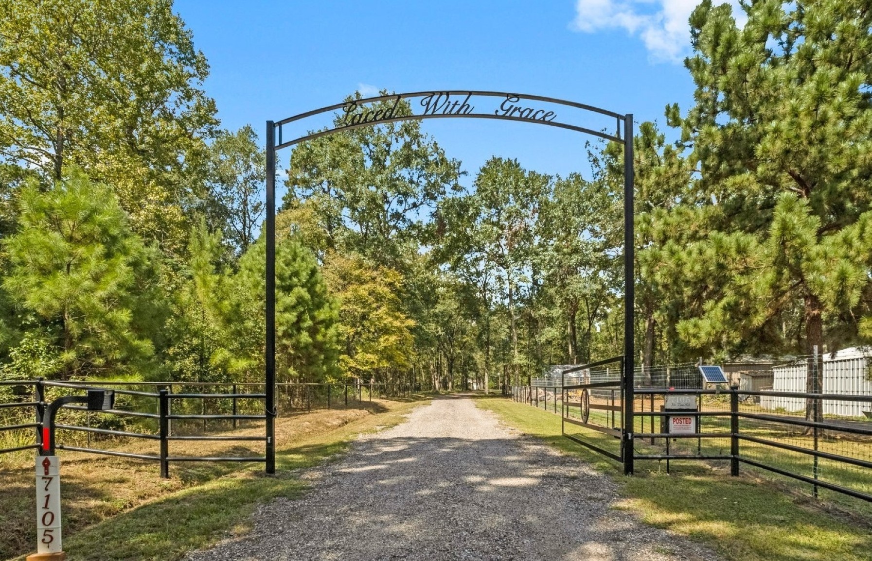7105 Mt Zion Road New Waverly, TX 77358 - Photo 10 of 42 Iron gate entry and tree lined driveway to welcome you to 7105 Mount Zion Road.
