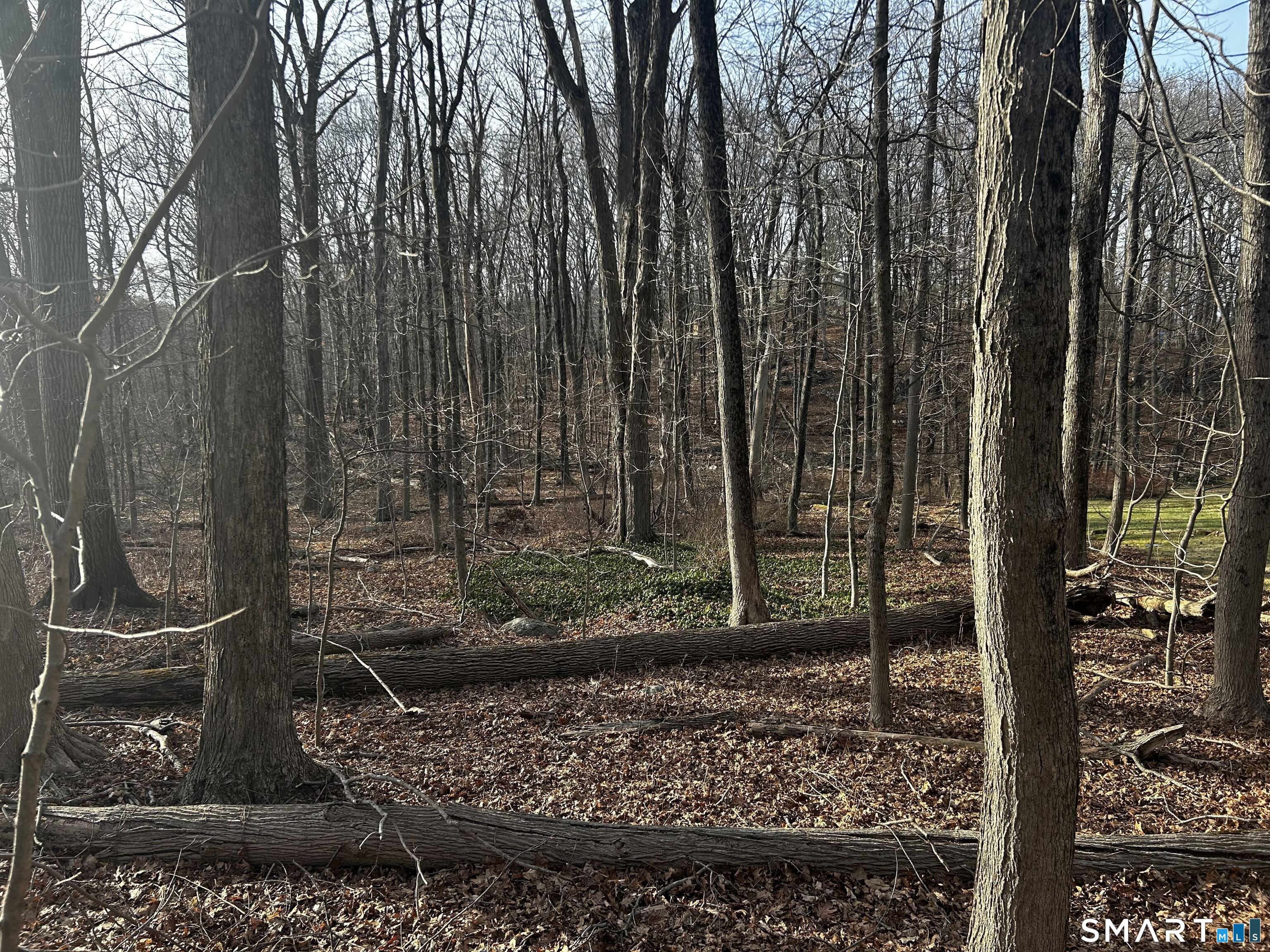 6 Westminster Road Danbury, CT 06811 - Photo 1 of 3 a view of a garden