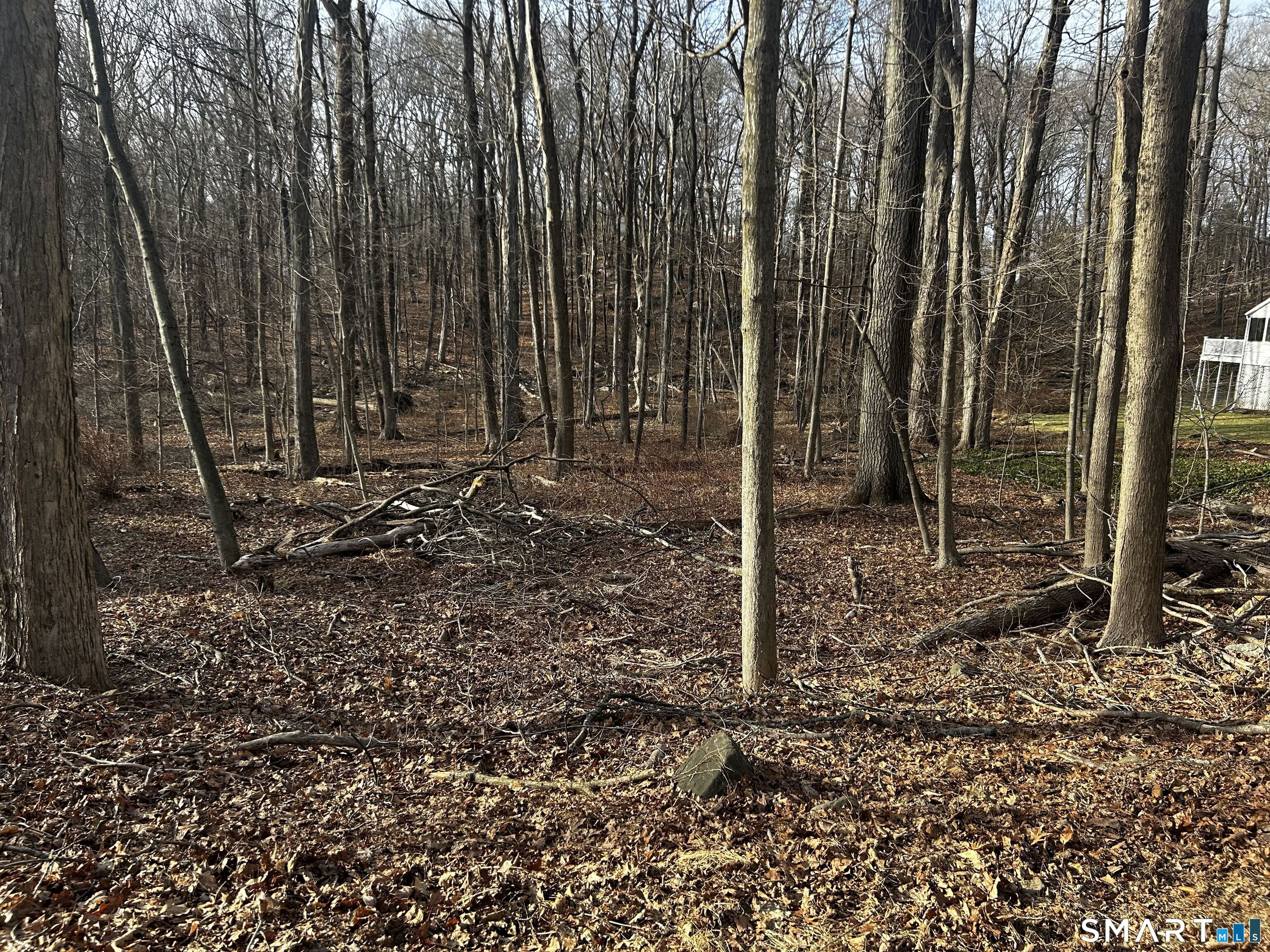 6 Westminster Road Danbury, CT 06811 - Photo 3 of 3 a view of a backyard