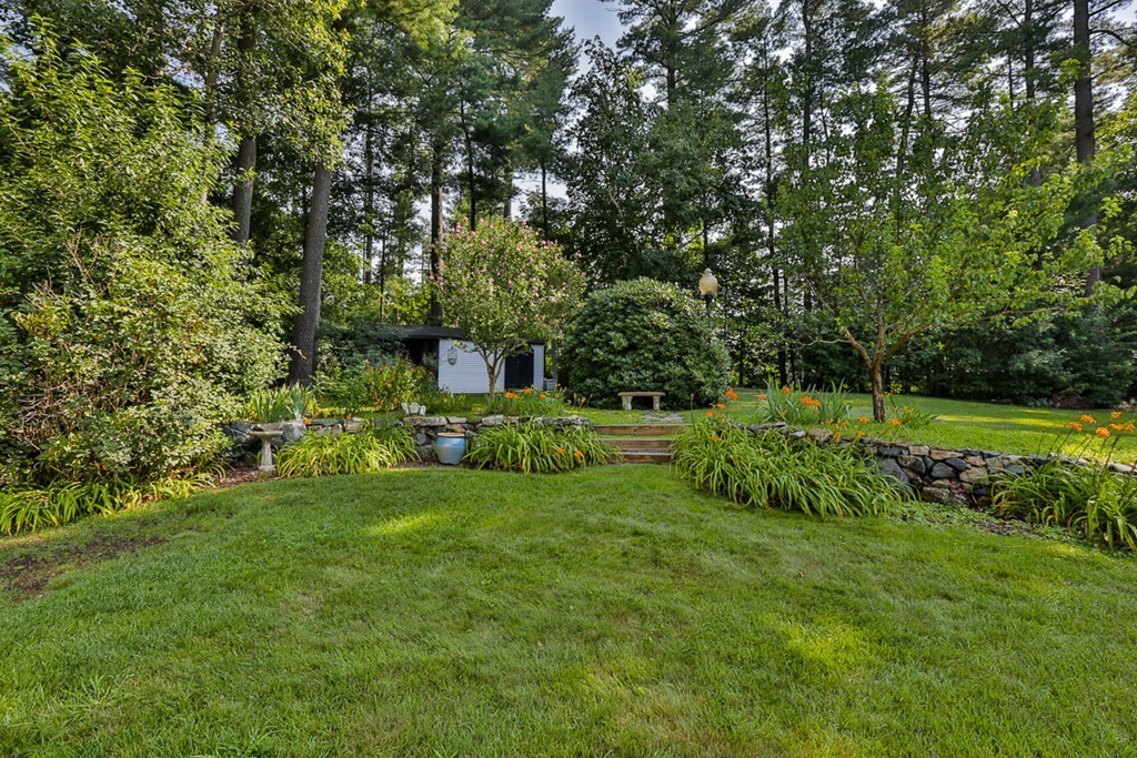 14 Belmont Road Billerica, MA 01821 - Photo 7 of 30 a view of a park with large trees