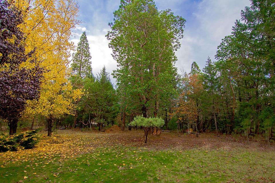 1550 Queens Branch Road Rogue River, OR 97537 - Photo 3 of 20 Additional Photo