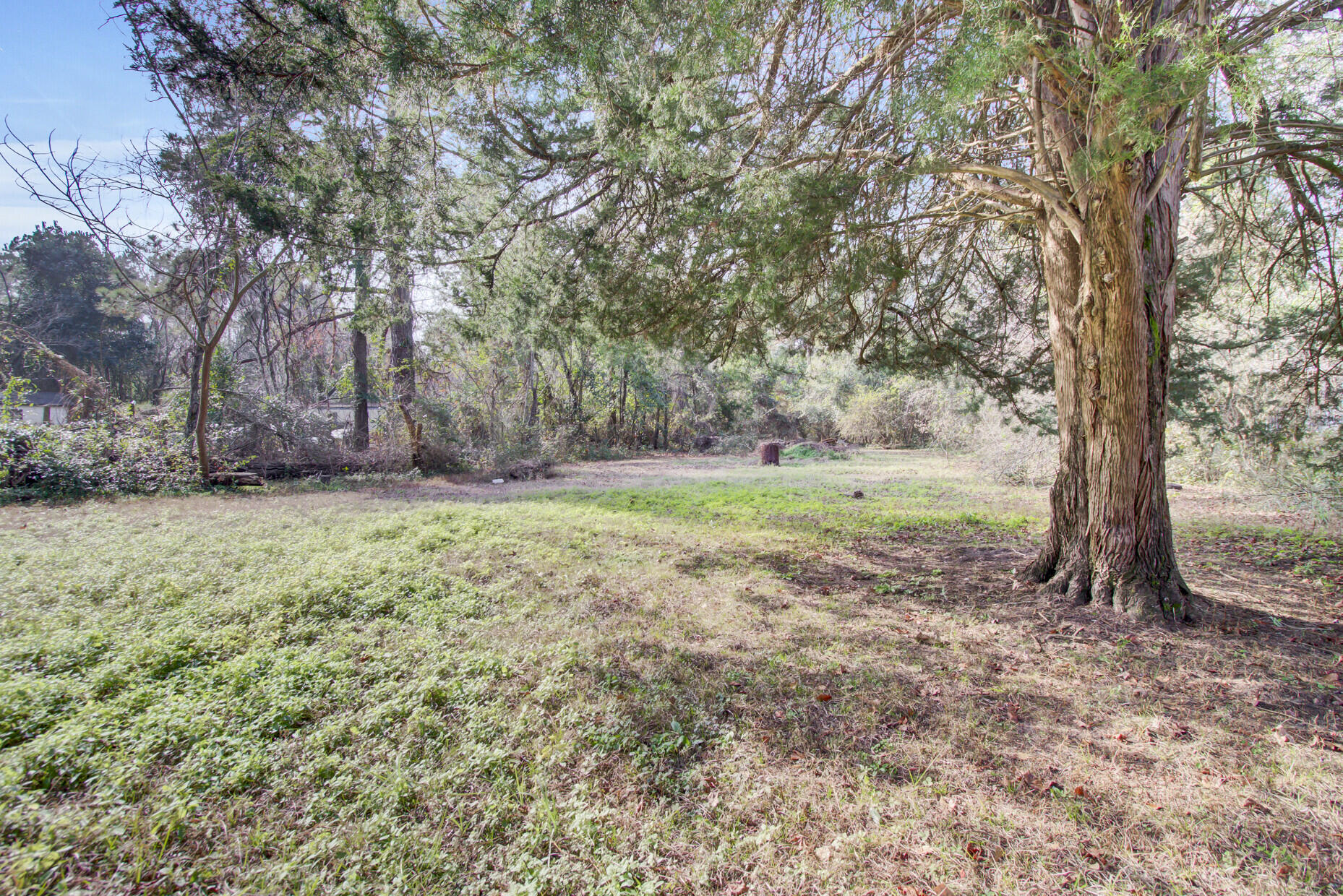 205 Callaway Drive St. George, SC 29477 - Photo 39 of 40 38_38_mls