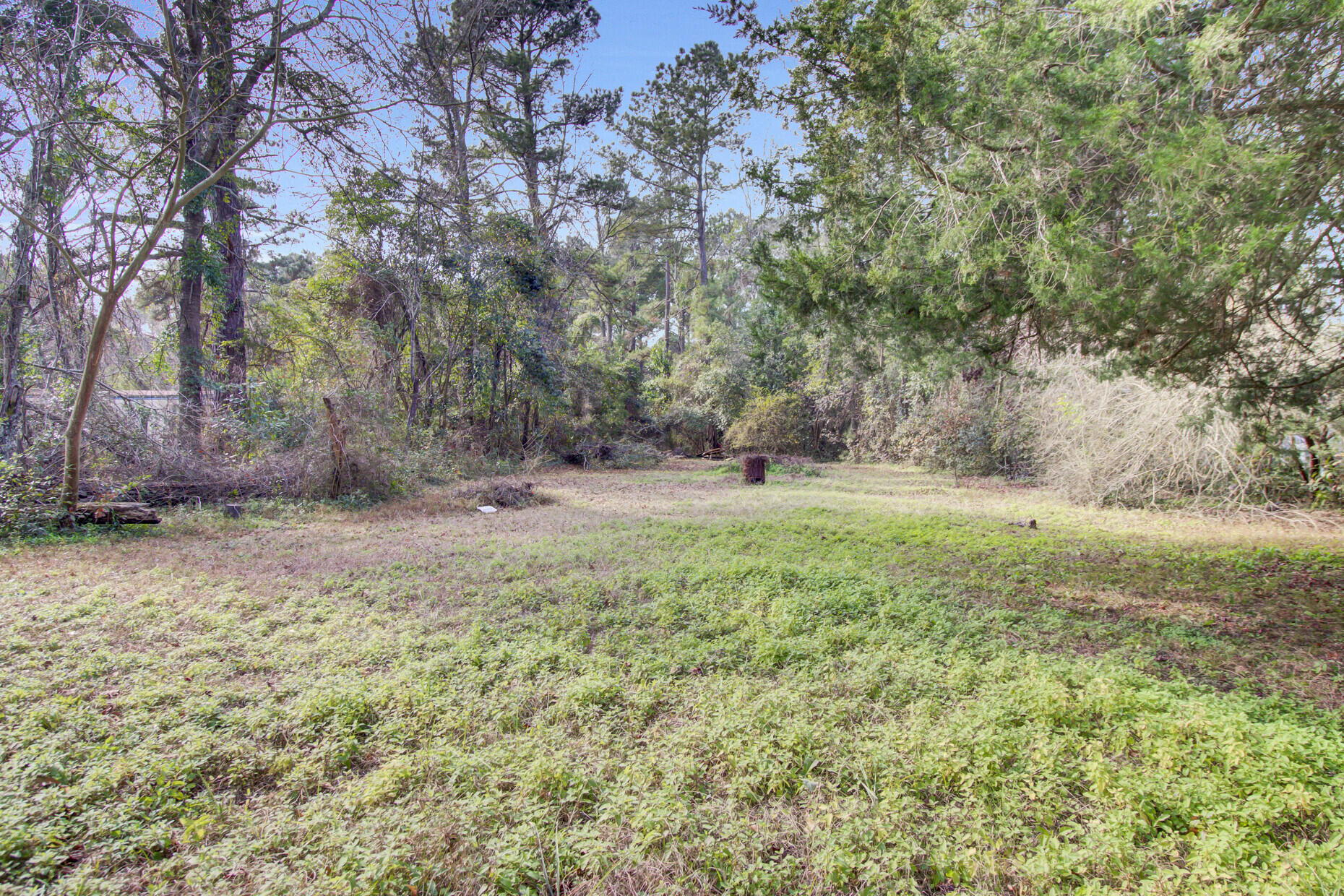 205 Callaway Drive St. George, SC 29477 - Photo 40 of 40 39_39_mls