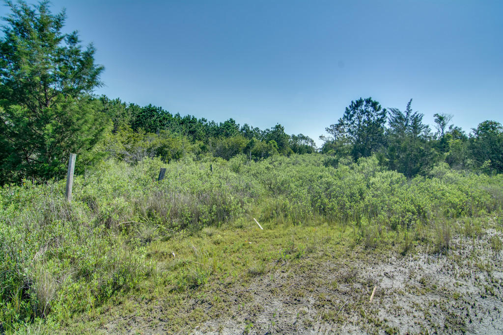 3 Hamlin Road Mount Pleasant, SC 29466 - Photo 11 of 38 10