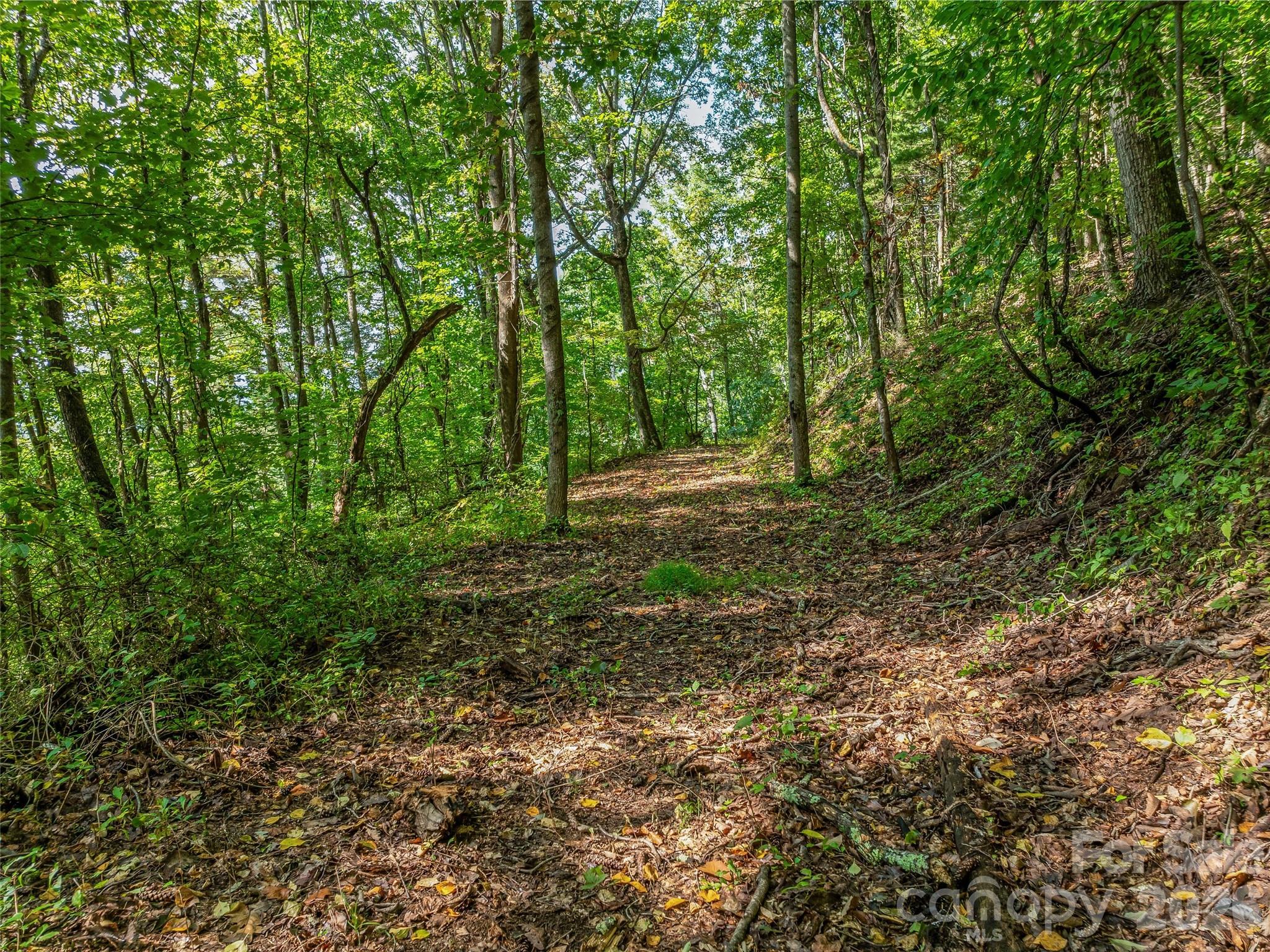 Tbd Robinhood Road, Unit 2 Asheville, NC 28804 - Photo 12 of 38 Gallery Image 12