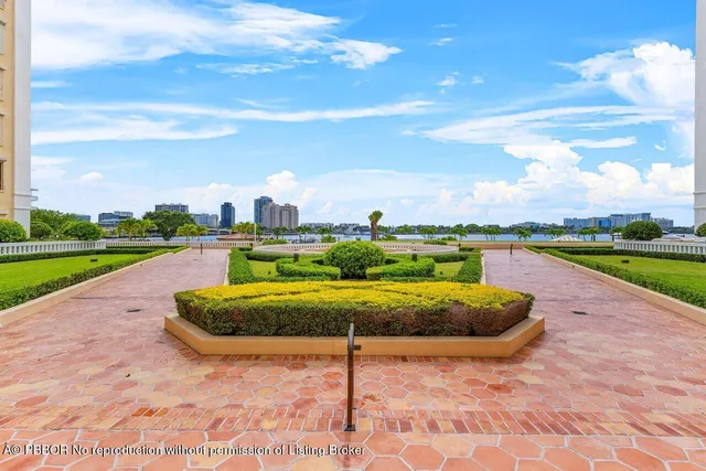 a view of a swimming pool and a lot of trees