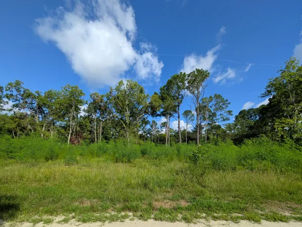 $169,000 | 318 McClellan Avenue, McClellanville, SC 29458