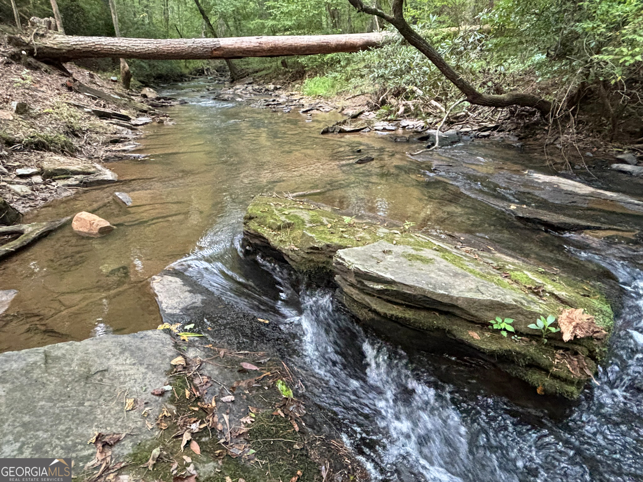 a view of a lake from a yard