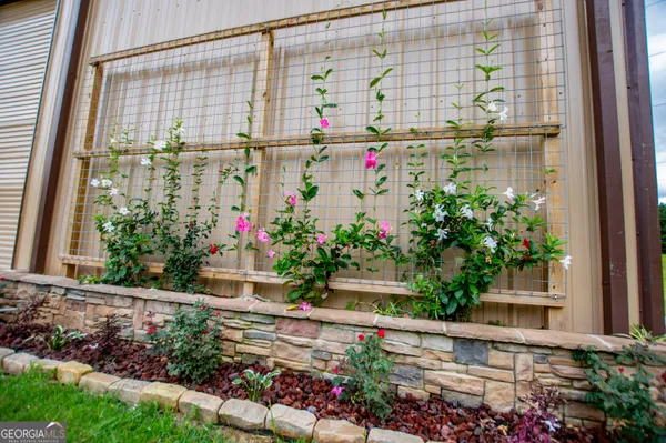 a view of a house with backyard and porch