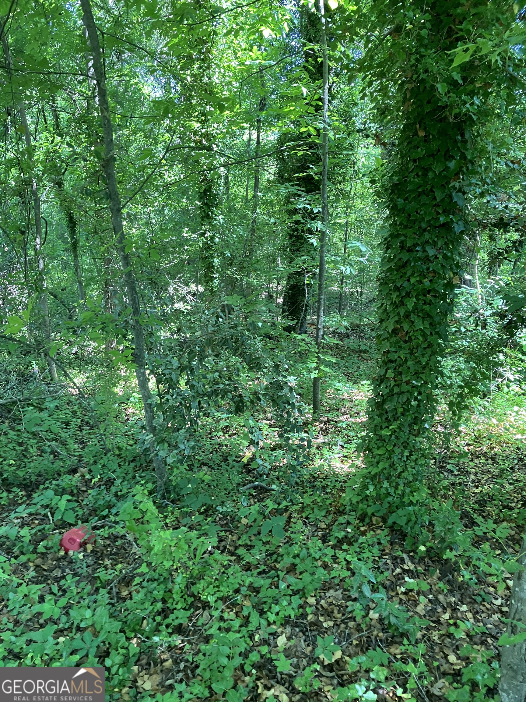 0 Battey Drive Rome, GA 30161 - Photo 5 of 5