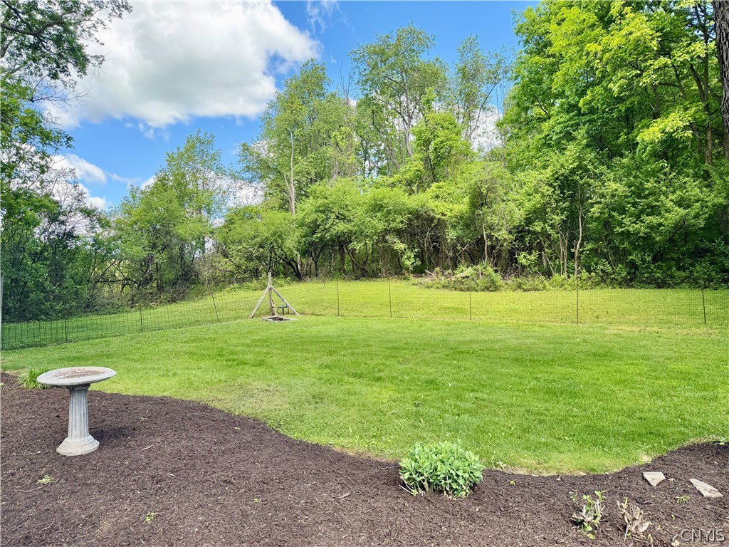5107 Harris Road Onondaga, NY 13031 - Photo 36 of 40 Backyard