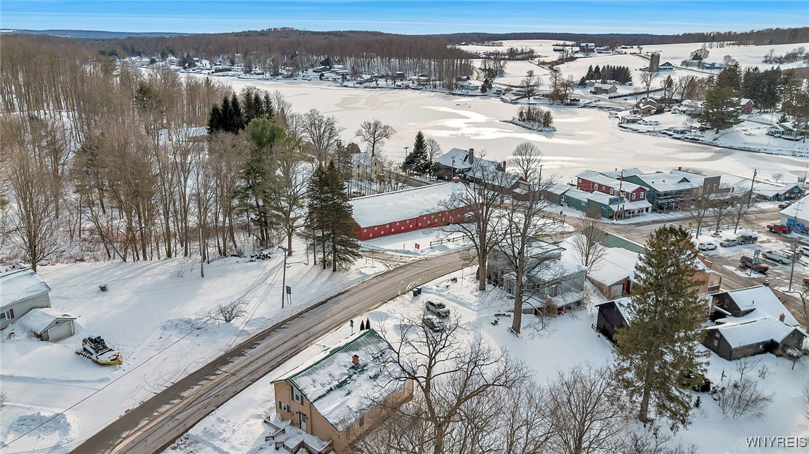 10344 Main Street Mina, NY 14736 - Photo 5 of 14 Aerial view of Findley Lake.