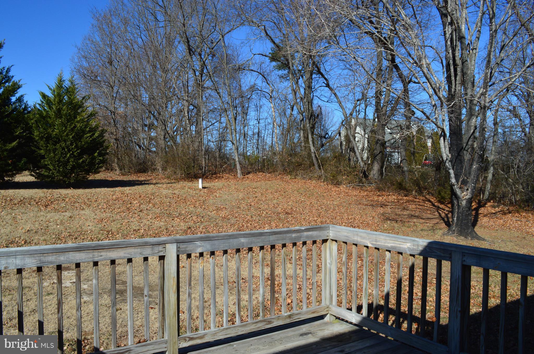 24174 Cedar Ridge Road Rapidan, VA 22733 - Photo 13 of 14 Exterior (Rear)