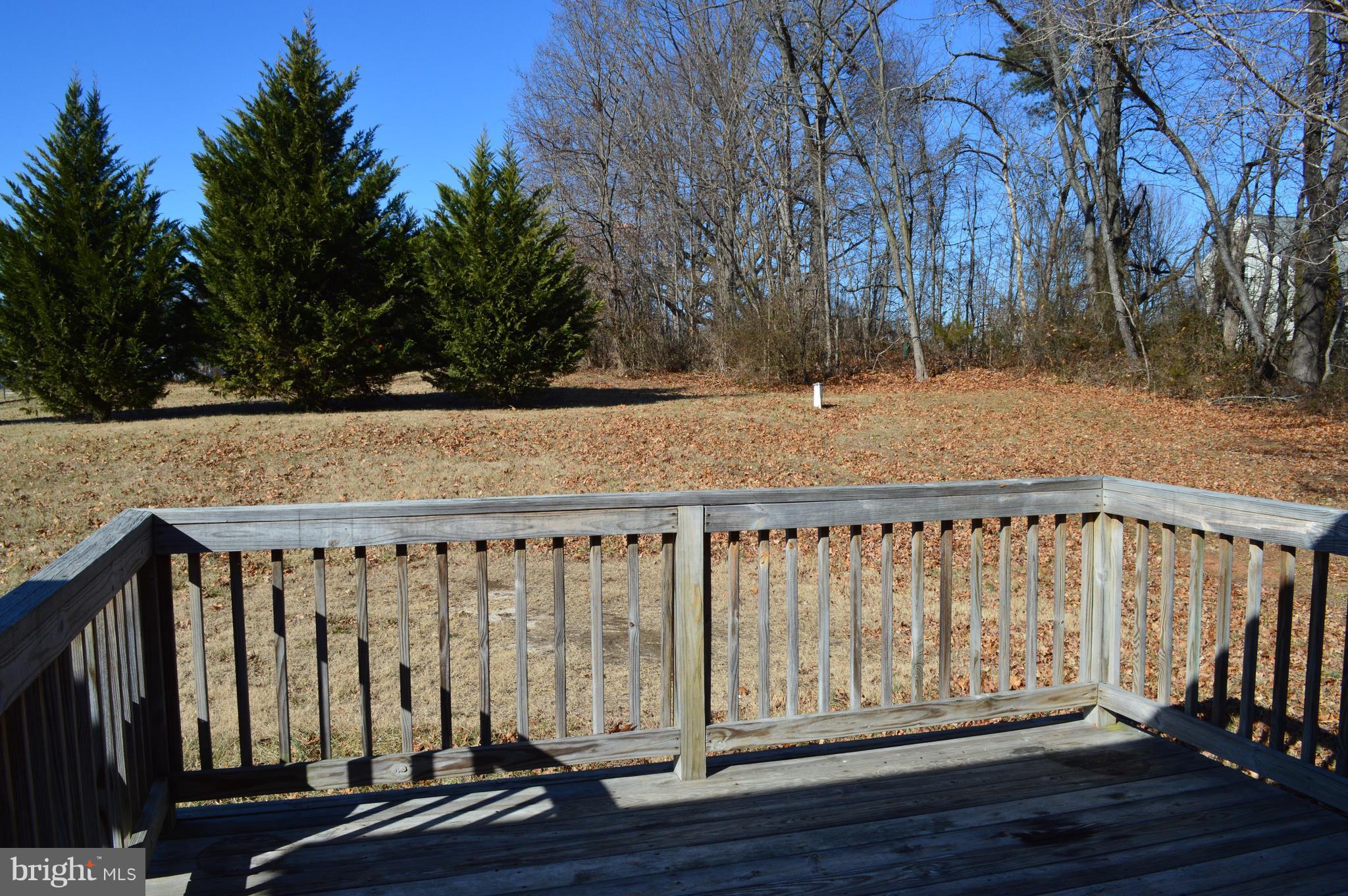24174 Cedar Ridge Road Rapidan, VA 22733 - Photo 5 of 14 Exterior (Rear)