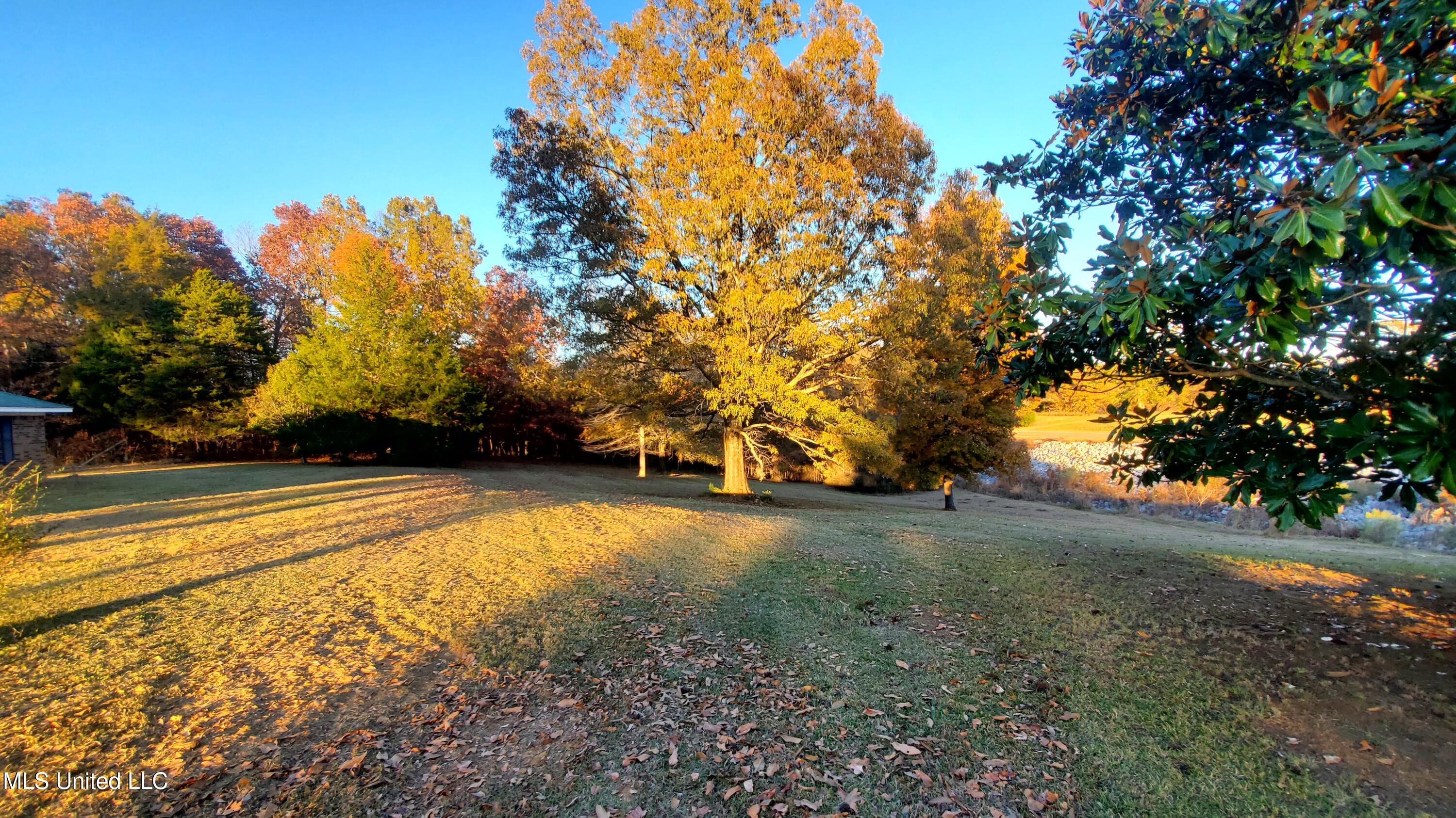 12141 Teasdale Road Enid, MS 38927 - Photo 26 of 35 20241203_160833