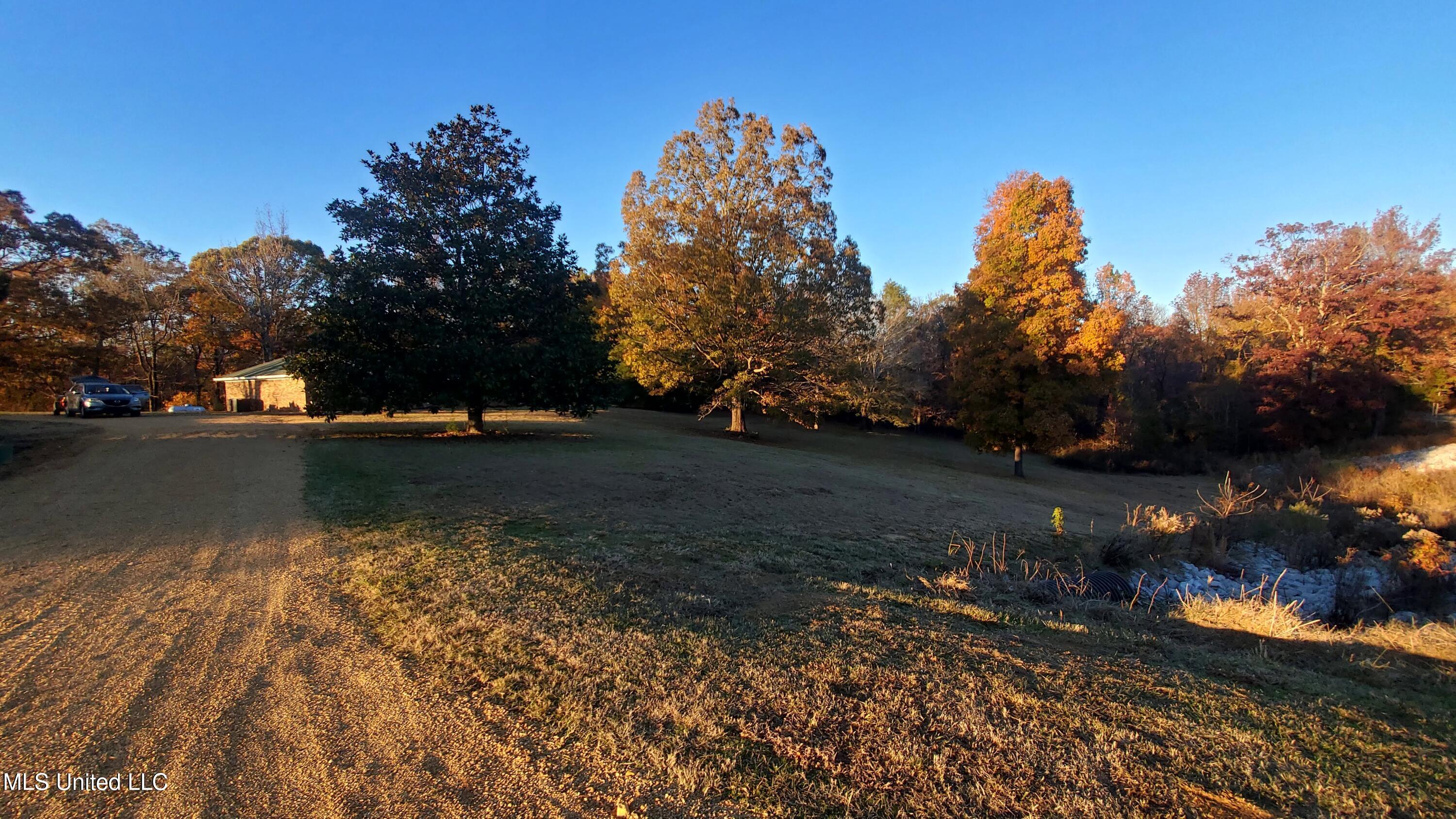 12141 Teasdale Road Enid, MS 38927 - Photo 27 of 35 20241203_160924