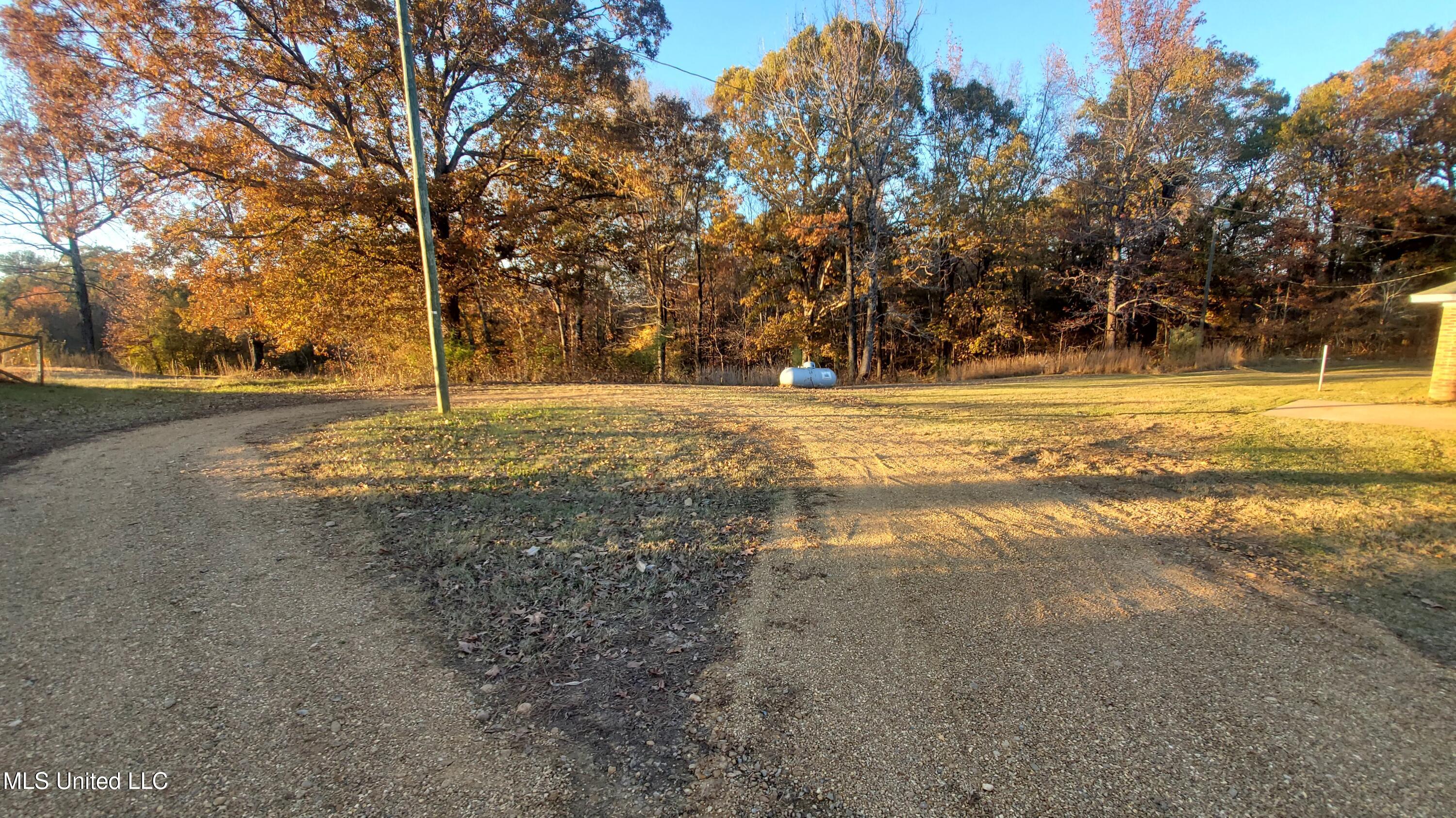 12141 Teasdale Road Enid, MS 38927 - Photo 29 of 35 20241203_161047