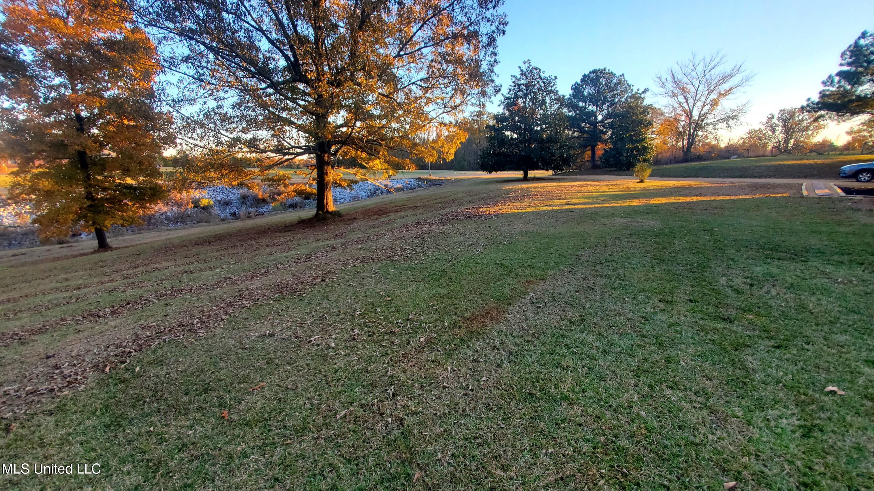 12141 Teasdale Road Enid, MS 38927 - Photo 34 of 35 20241203_161329