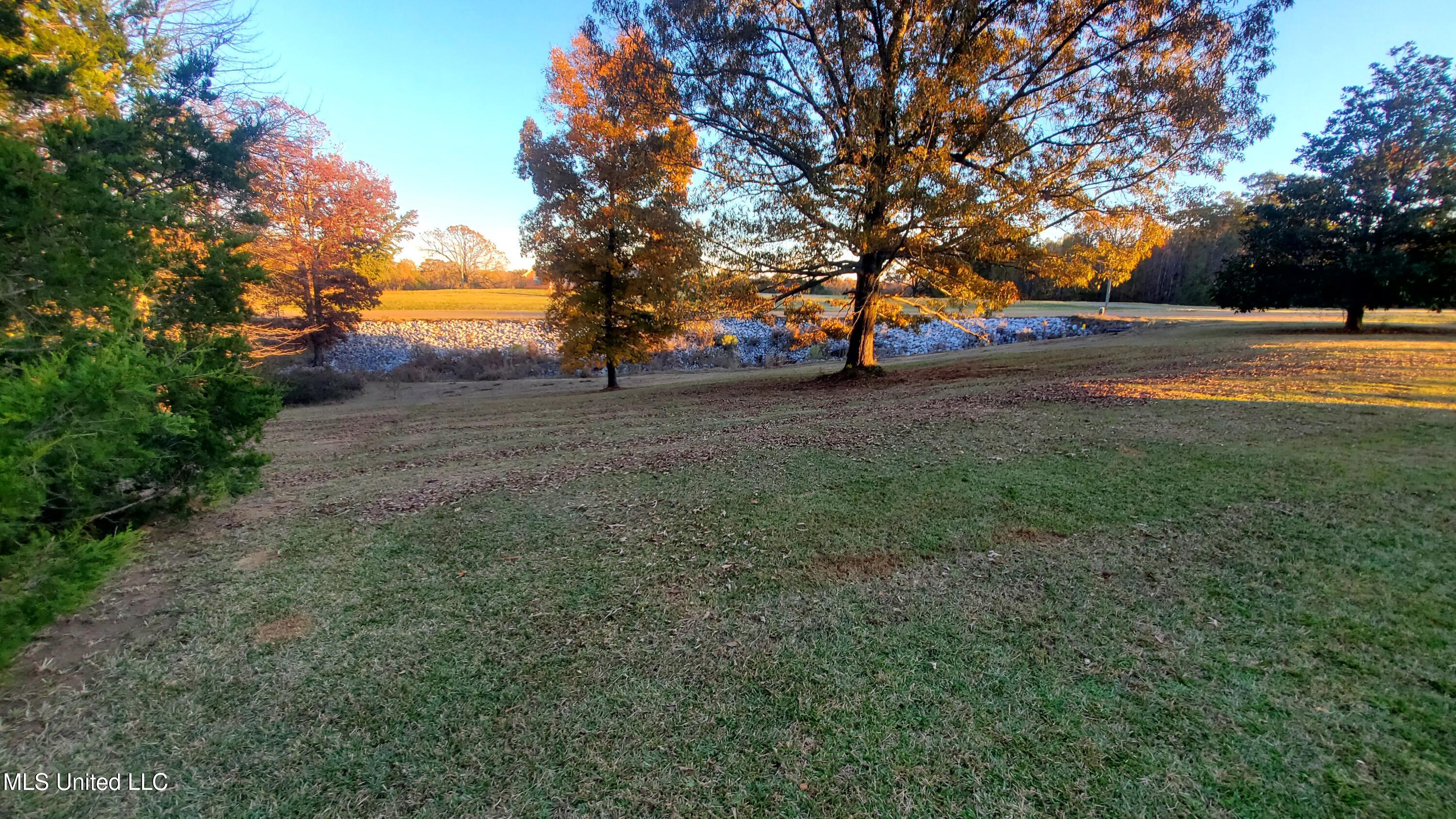 12141 Teasdale Road Enid, MS 38927 - Photo 35 of 35 20241203_161315