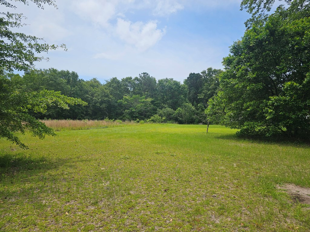 14196 Raccoon Road Manning, SC 29102 - Photo 7 of 39 Gallery Image 7