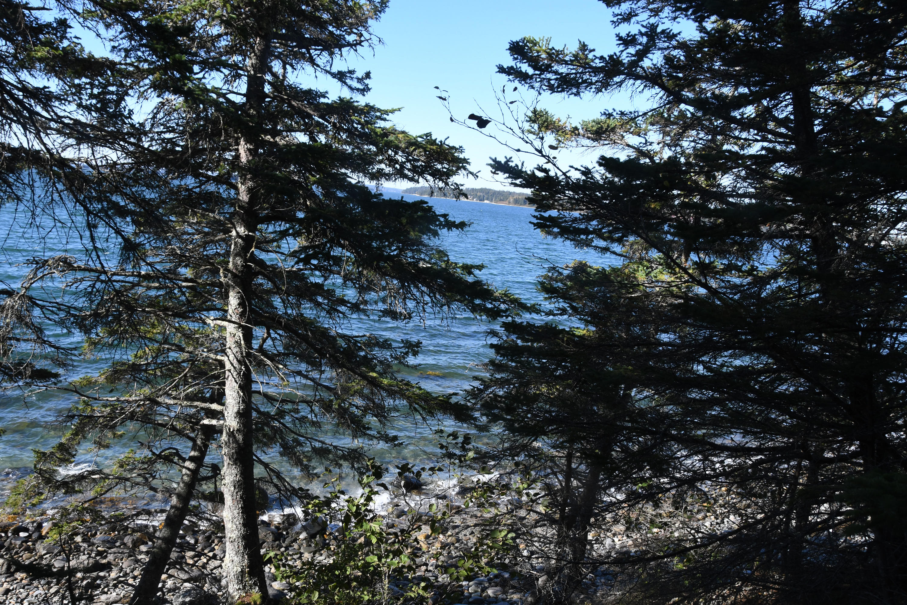 01 North Deer Isle Road Deer Isle, ME 04627 - Photo 26 of 34 20171021_AnneKeck_027