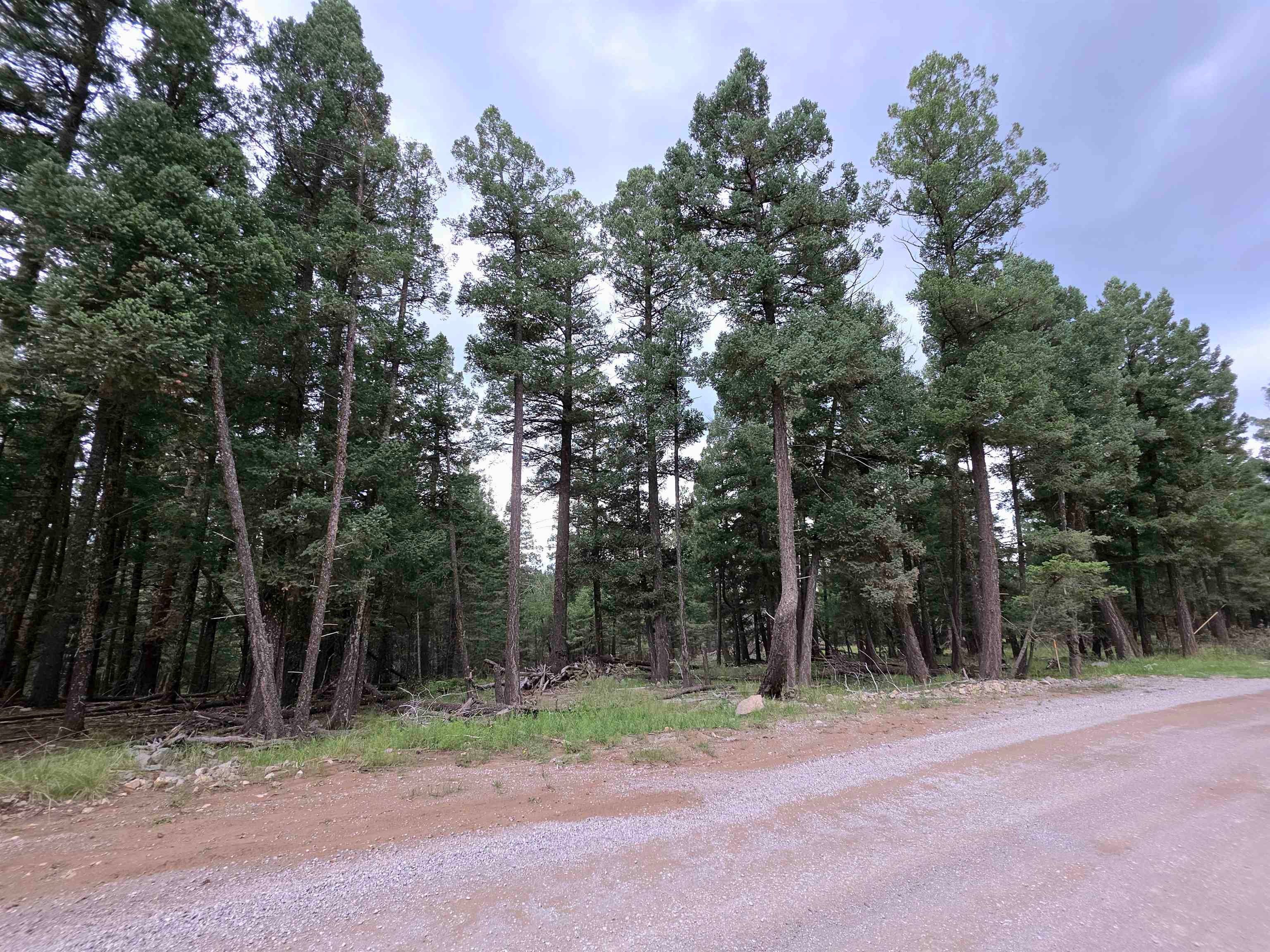 Lot 58 Big Dipper Road Mayhill, NM 88339 - Photo 36 of 50 Gallery Image 36