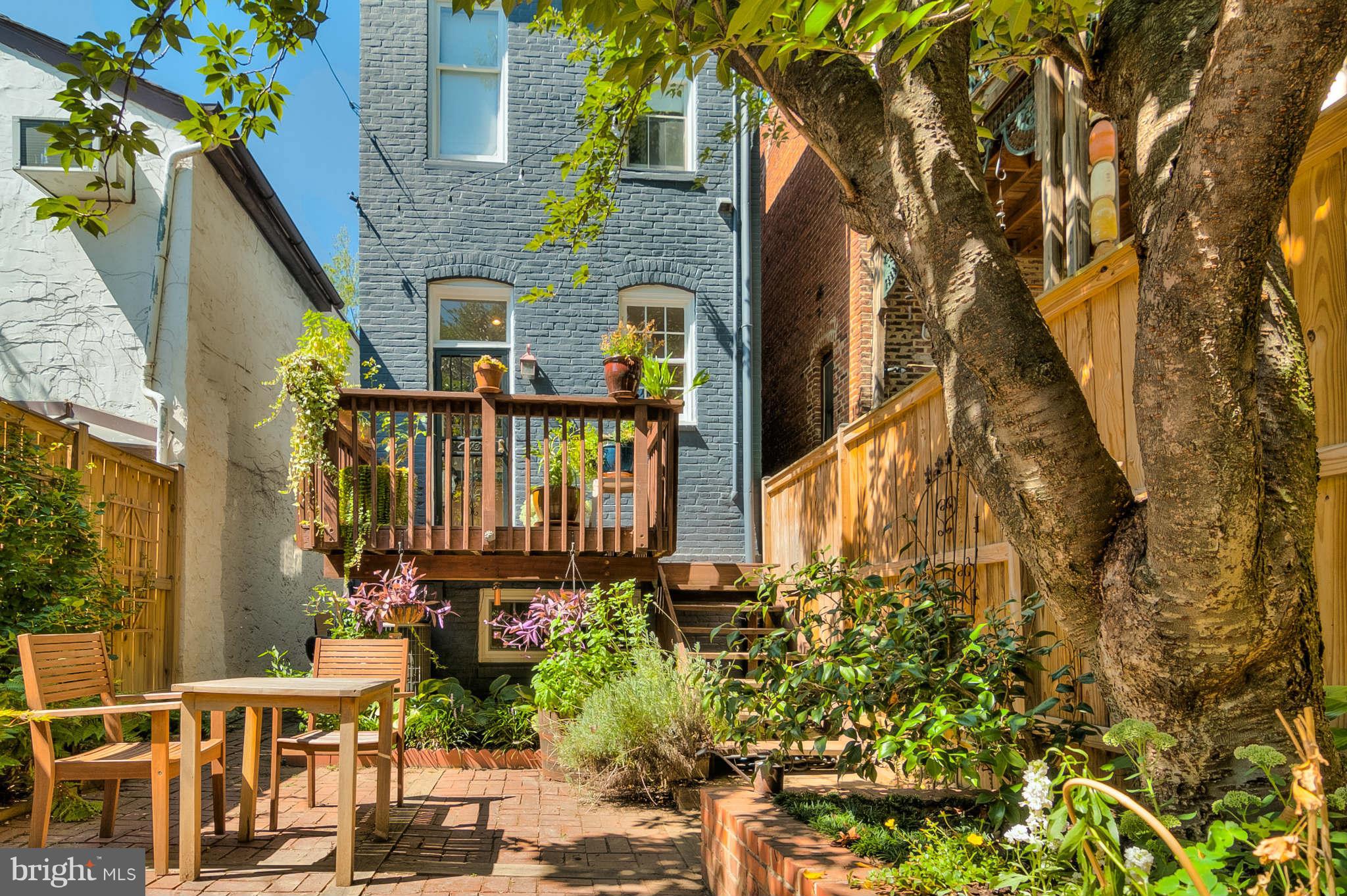 424 7th Street Southeast Washington, DC 20003 - Photo 9 of 24 Exterior (Rear)