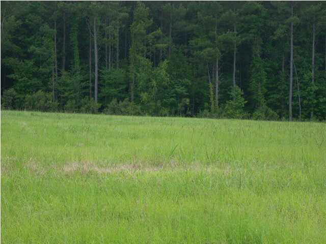 2 Morgans Lane, Unit 2 Brandon, MS 39042 - Photo 1 of 2 Photo 1