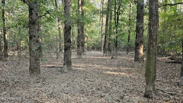 $301,950 | 35 Highway 35, Vaiden, MS 39176