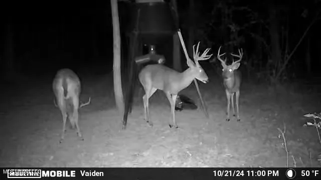 $365,817 | 35 Highway 35, Vaiden, MS 39176