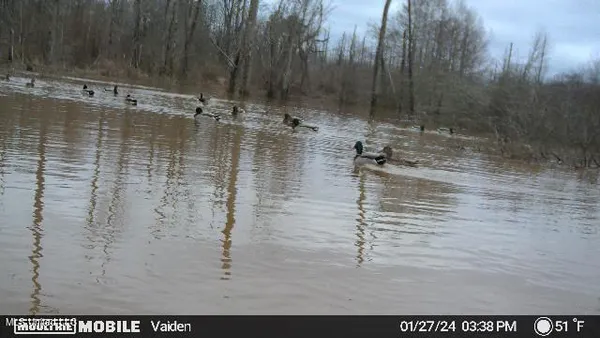 $301,950 | 35 Highway 35, Vaiden, MS 39176