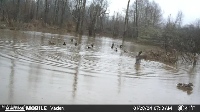 $365,817 | 35 Highway 35, Vaiden, MS 39176