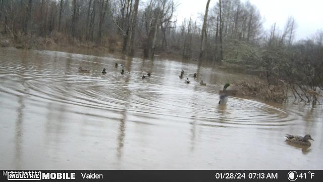 35 Highway 35 Vaiden, MS 39176 - Photo 15 of 88 Temp_1377679-20240128131409-202401280713
