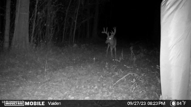 35 Highway 35 Vaiden, MS 39176 - Photo 17 of 88 1169759-20230928033637-20230927202336_00