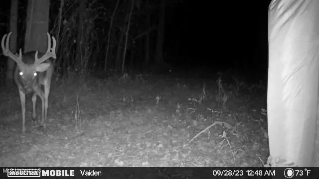 $365,817 | 35 Highway 35, Vaiden, MS 39176