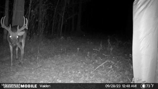 35 Highway 35 Vaiden, MS 39176 - Photo 18 of 88 1169759-20230928063601-20230928004856_00