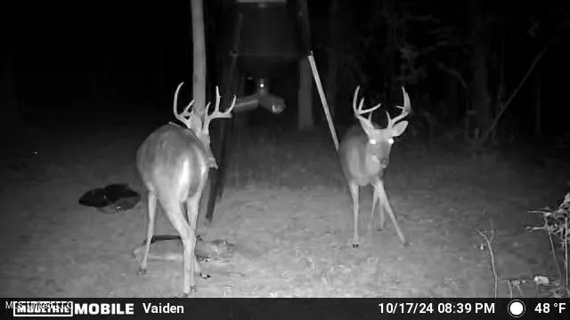 $365,817 | 35 Highway 35, Vaiden, MS 39176