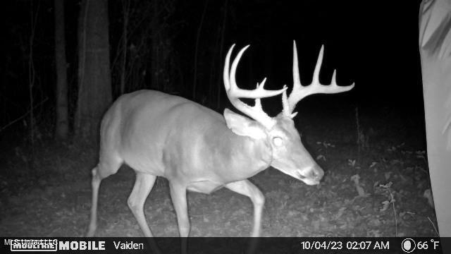 35 Highway 35 Vaiden, MS 39176 - Photo 20 of 88 1203318-20231004120552-20231004020746_00