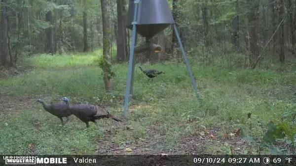 $301,950 | 35 Highway 35, Vaiden, MS 39176