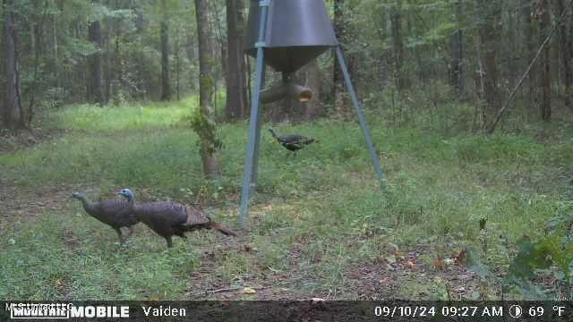 35 Highway 35 Vaiden, MS 39176 - Photo 22 of 88 1203318-20240910180258-20240910092716_00